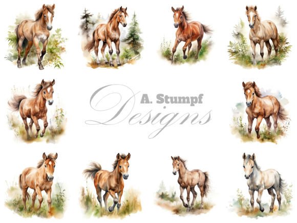 Charming Foal Clipart for Creative Projects